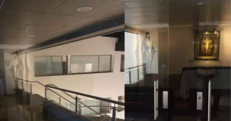 Milagre? Virgem Maria aparece em hospital lotado de pacientes com corona vírus; Vídeo