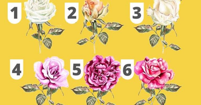A rosa que você escolher revelará o seu futuro