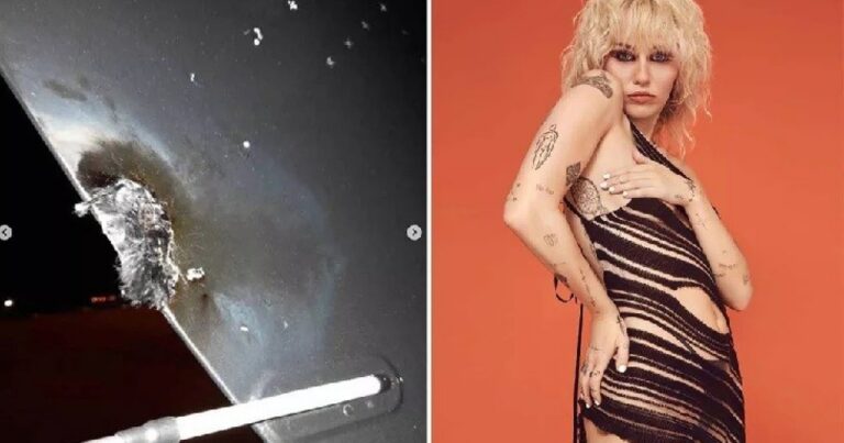 Avião com Miley Cyrus é atingido por raio; equipe se pronuncia após momentos de terror