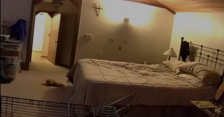 Sua cama sempre ficava bagunçada, até que ele instalou uma câmera em seu quarto e descobriu tudo