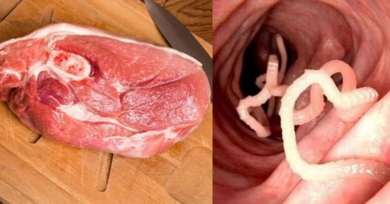 Saiba quais são os 3 perigos escondidos na carne de porco que JAMAIS deve ignorar
