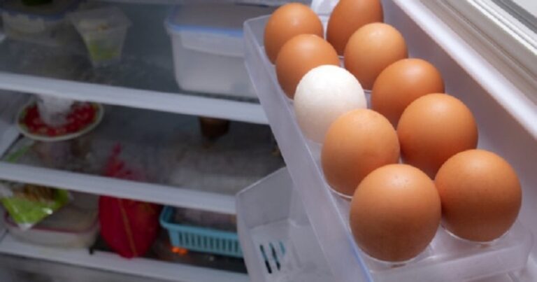 Colocar os ovos na porta da geladeira é certo ou errado? Conheça a melhor forma de armazenamento