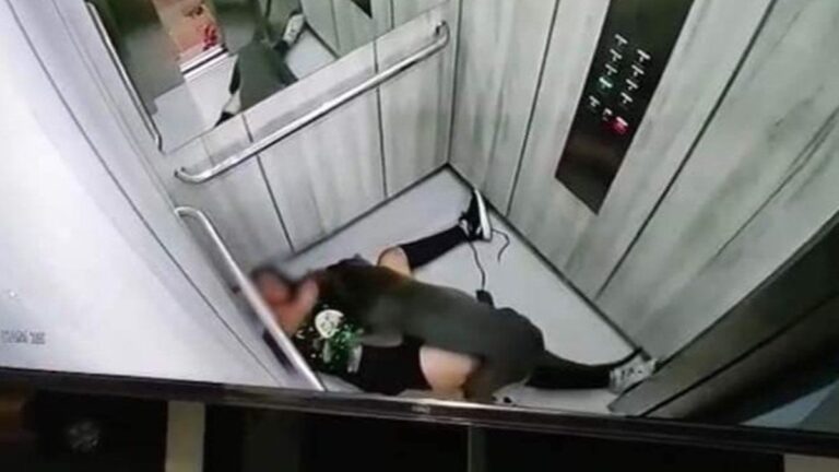 Vídeo: Mulher é atacada brutalmente pelo próprio pit bull em elevador