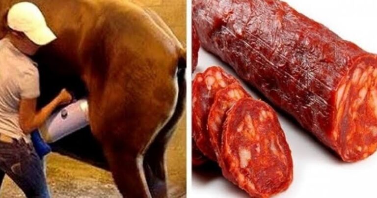 7 Alimentos que você JAMAIS comeria se soubesse como são feitos