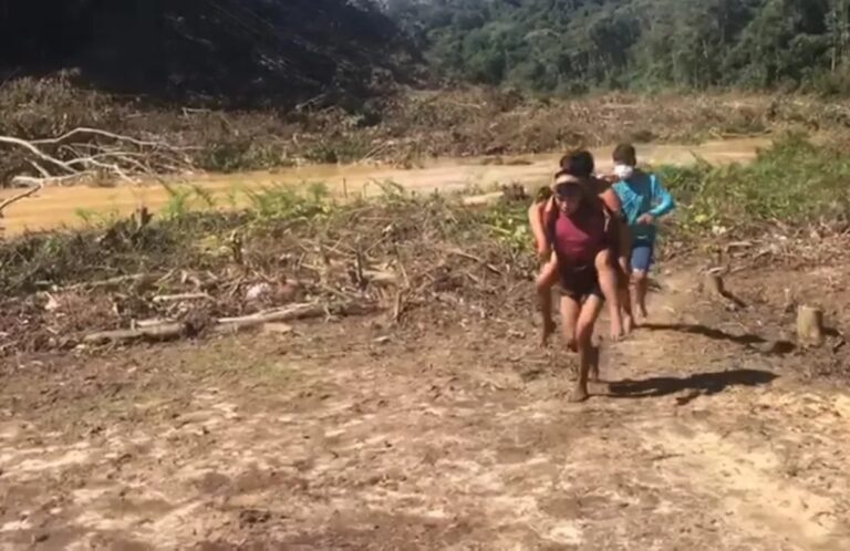 Mulher indígena grávida é picada por jararaca e é carregada por cerca de 2 horas para conseguir ajuda