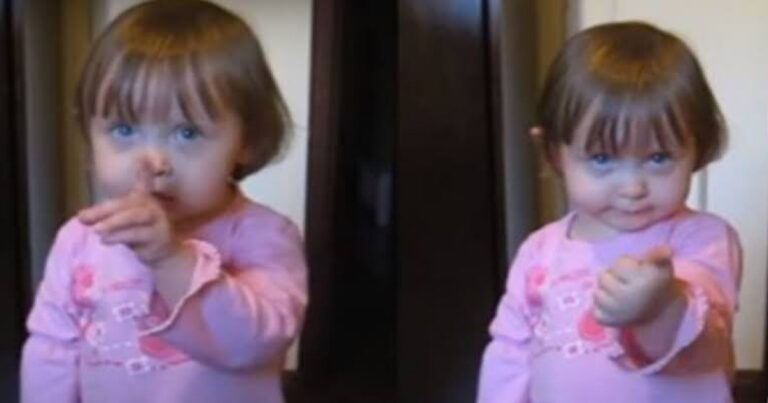 Lembra dela? Menina do meme ´não fecha a porta’ cresceu e está irreconhecível: fotos de antes e depois