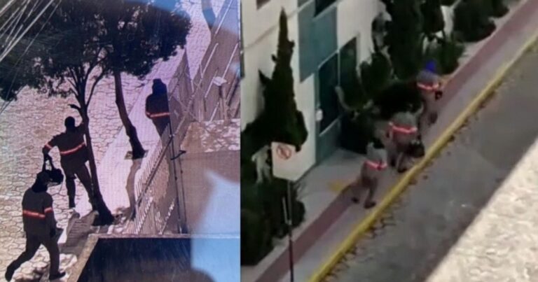 VÍDEO: Três assaltantes fazem reféns e roubam milhares de dólares em Santa Catarina; vídeo mostra fuga de criminosos