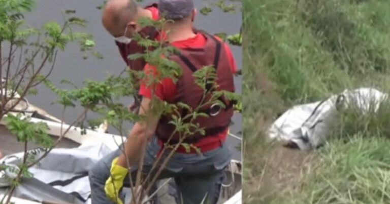 Vídeos: Partes de corpos, velas e cabelo são encontrados jogados às margens da represa Billings em São Paulo
