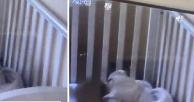 Assustada, mãe instala câmera no quarto do bebê e não acredita no que vê; Vídeo!