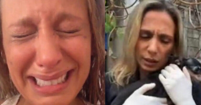 Segredo de Luisa Mell é exposto por vizinho, que desmascara suposto roubo para o Brasil