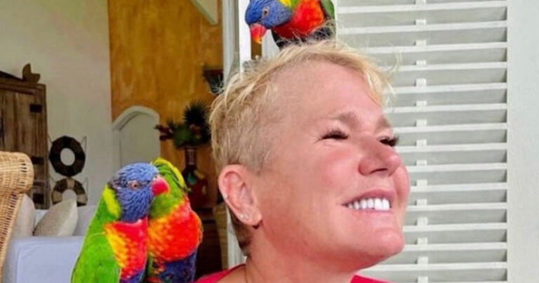 Xuxa sai em defesa do veganismo e diz que homens veganos fazem melhor