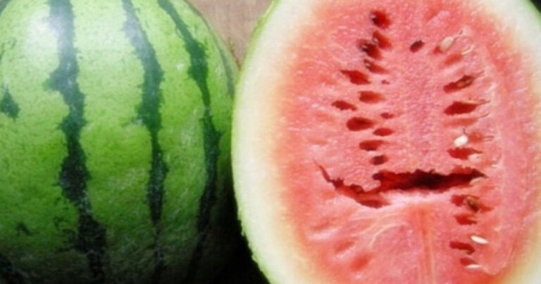 Fique atento ao consumir melancia; não coma se perceber estes detalhes na fruta