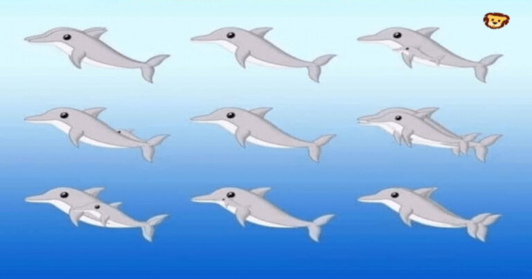 Quantos golfinhos existem nesta imagem? O número correto irá te surpreender – Teste viral
