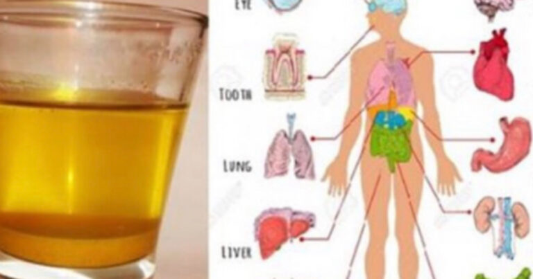 Beba 1 copo de água de cúrcuma todos os dias em jejum e estas coisas vão acontecer no seu corpo!