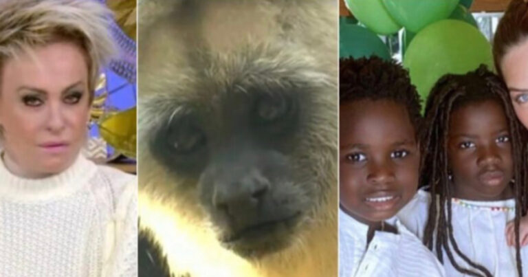 Ana Maria pede desculpas, revela que funcionário do ‘Mais Você’ que exibiu imagens de macaco sofreu DURO CASTIGO; Vídeo