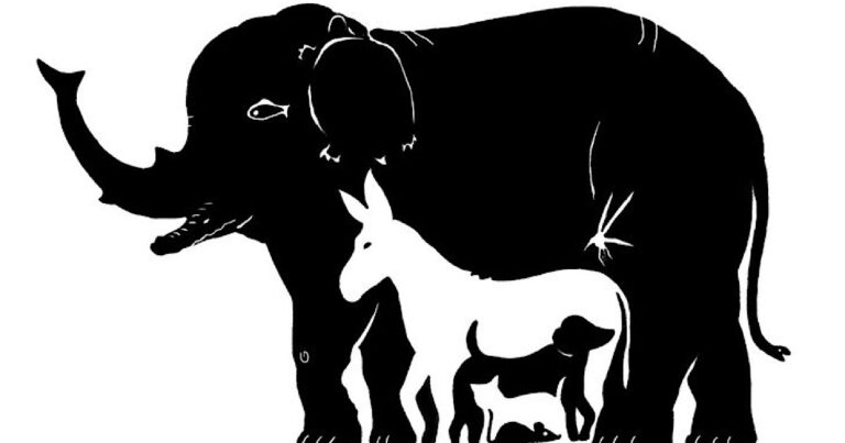 Teste Rápido: Quantos animais você consegue ver? Sua resposta revelará algo sobre você