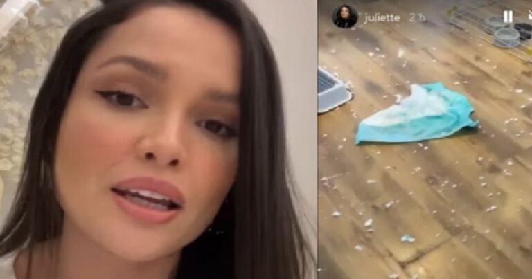Juliette mostra ‘destruição’ causada em sua casa e faz desabafo sobre a situação: ‘Olha o que eles fizeram’