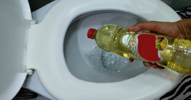 Dica caseira para lavar o banheiro com óleo de cozinha: faça uma limpeza profissional com esta receita