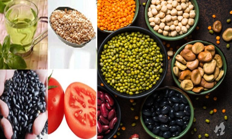 5 alimentos que ajudam a emagrecer rápido e com saúde