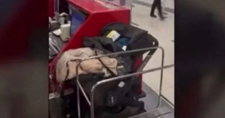 Se recusando a pagar taxa extra, casal abandona bebê em check-in de aeroporto