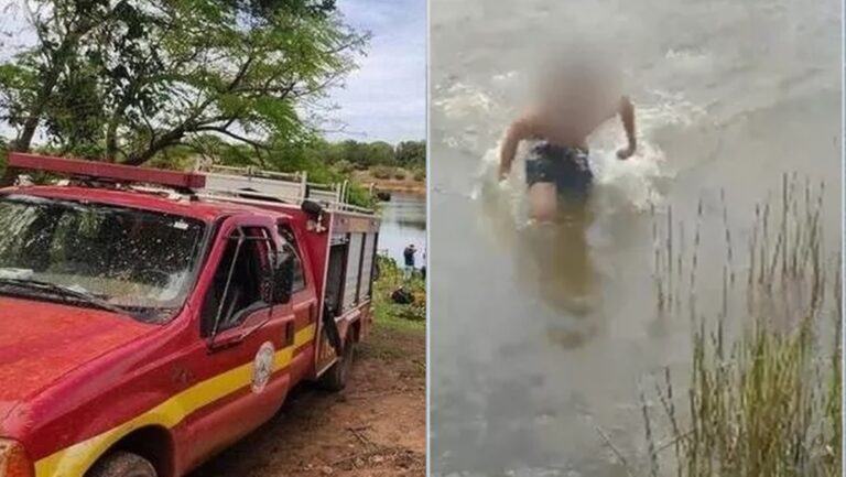 homem pula em lago para evitar abelhas, mas é atacado e morto por piranhas