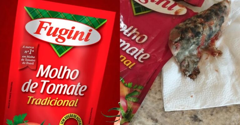 Polícia Civil investiga Fugini após consumidores denunciarem ‘corpos estranhos’ em sachês de molho de tomate, em Goiás