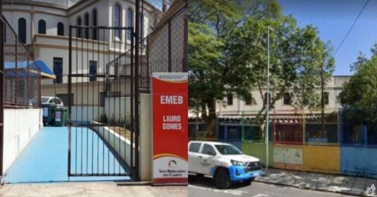 Criança morre após ser atingida por um galho de árvore em um parquinho escolar em SP
