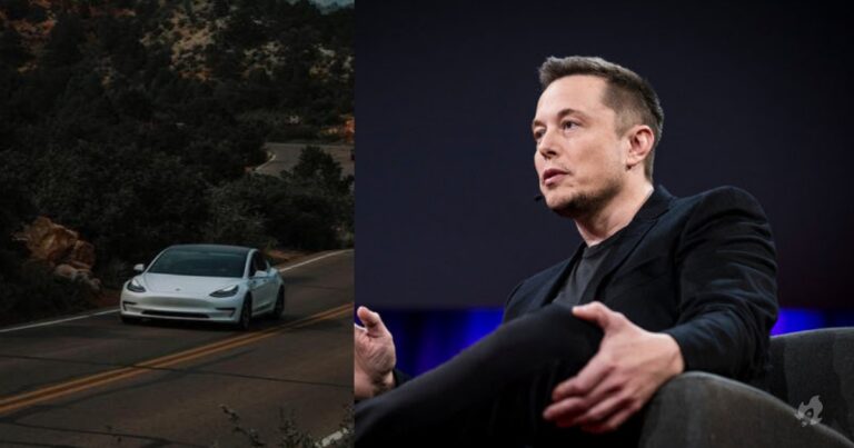 Elon Musk afirma que quase morreu algumas vezes testando o piloto automático da Tesla