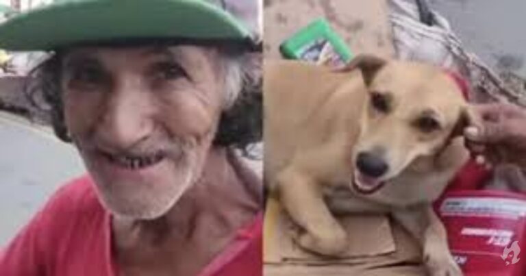 Sem-abrigo recusa 100 dólares pela sua cadela. “O dinheiro não me dá carinho nem me fazer companhia”