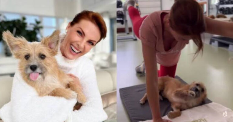 Joaquim, cachorro herói que ‘salvou’ Ana Hickmann de agressão, foi resgatado da rua; Alexandre Correa repudiou
