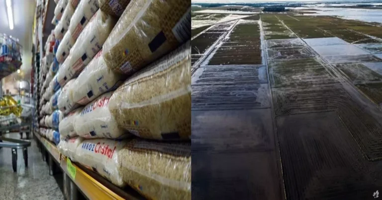 Arroz será importado e subsidiado pelo governo e pacote de 5kg custará até R$ 20
