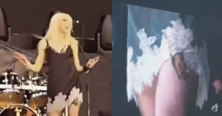 Cantora Taylor é mordida por morcego durante show na Espanha – Vídeo