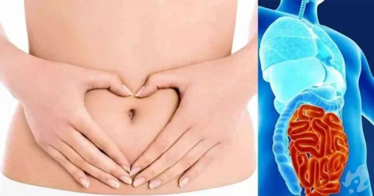 Sintomas de intestino intoxicado  Fique atento e veja como limpar