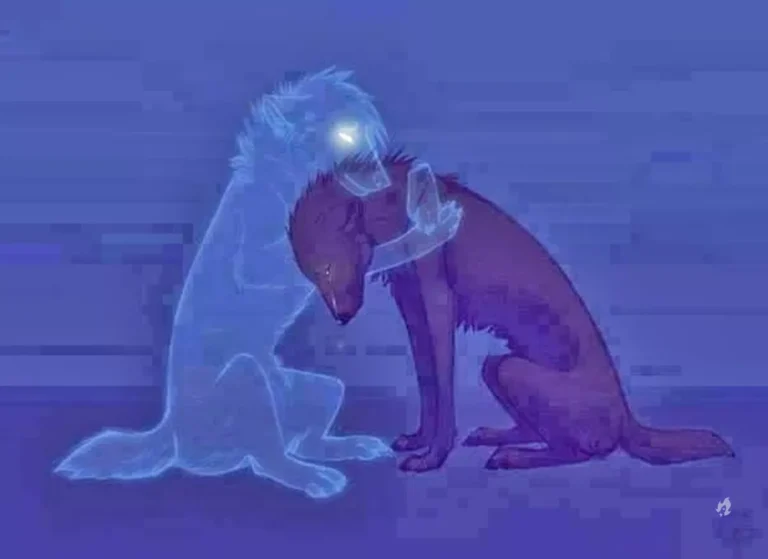 Reencarnação e Alma dos Animais por Chico Xavier