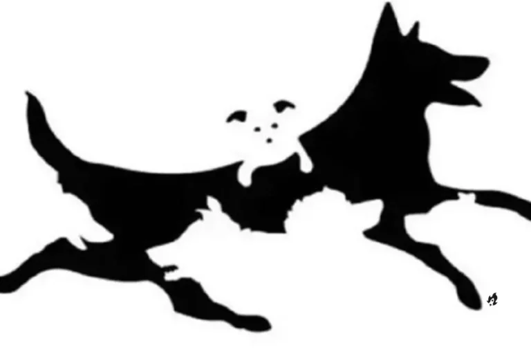 Quantos cães você vê na imagem? O resultado vai revelar a sua idade mental