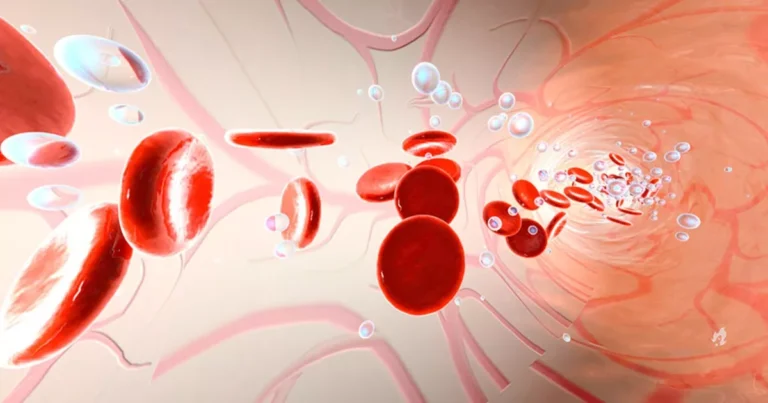 A fruta que remove açúcar do sangue e contribui para saúde metabólica