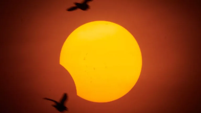 O que é um eclipse solar parcial? Saiba a diferença e conheça suas fases