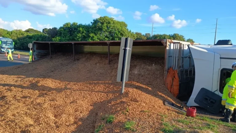 Carreta carregada com toneladas de amendoim tomba no interior de SP