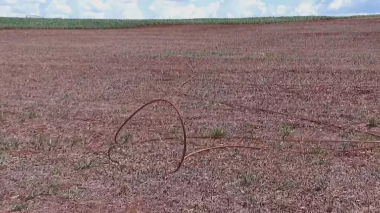 Queda de avião agrícola no interior de SP pode ter sido causada por choque com linha de transmissão
