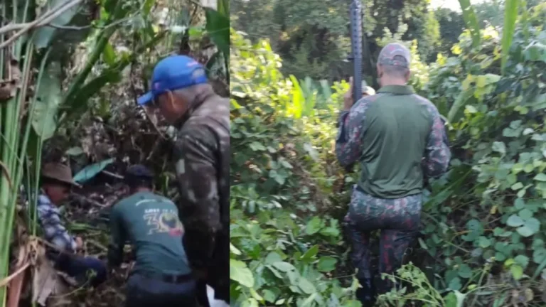 Tragédia no Pantanal: A história de Jorge e o ataque da onça