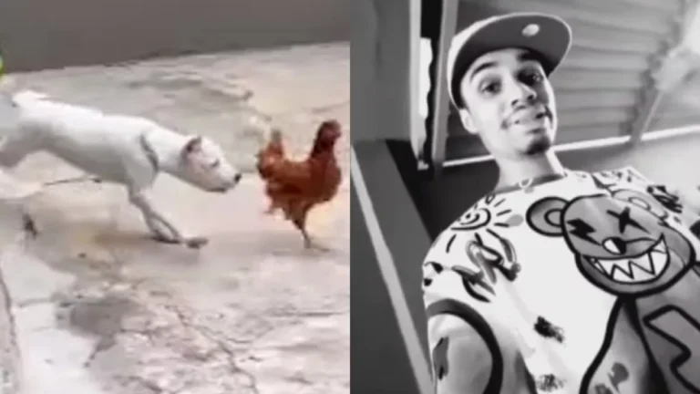 Influenciador é preso por maus-tratos após jogar galinhas vivas para cachorros comerem e filmar