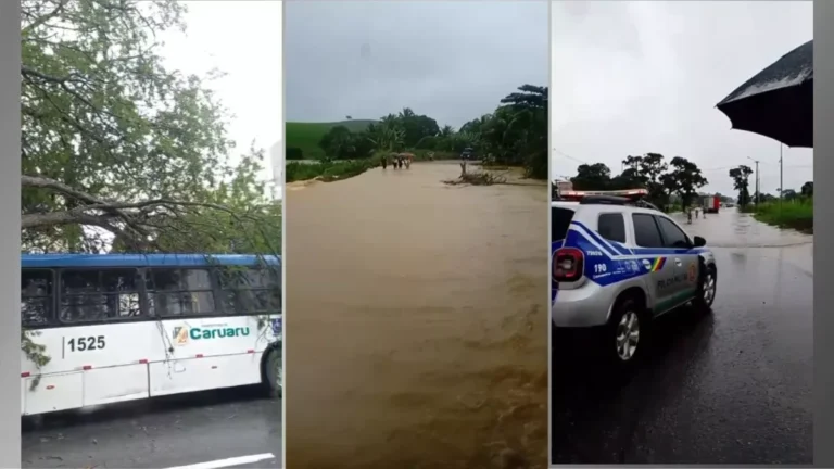 Pernambuco tem alagamentos e queda de árvores; aulas foram suspensas