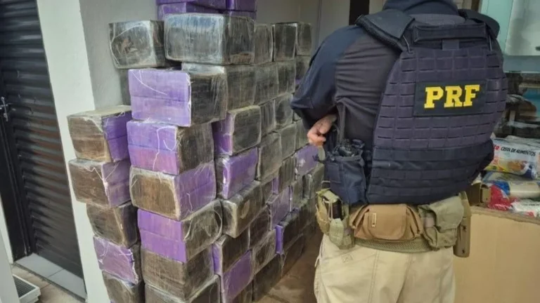 PRF apreende mais de uma tonelada de drogas e cigarros no Paraná