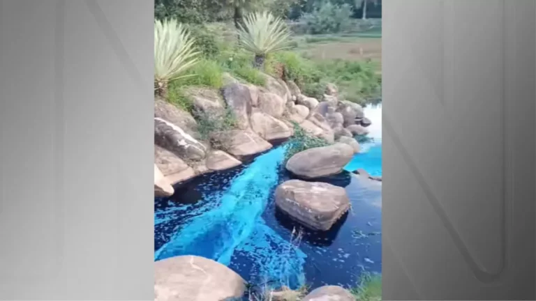 Animais são tingidos de azul após acidente de caminhão com corante em SP