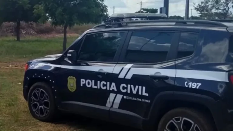 Homem mata cachorro com paulada para proteger filho de ataque do animal no Norte do Piauí