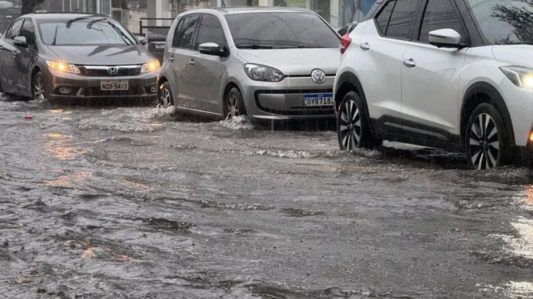 Chuva causa alagamentos e quedas de árvores em Natal