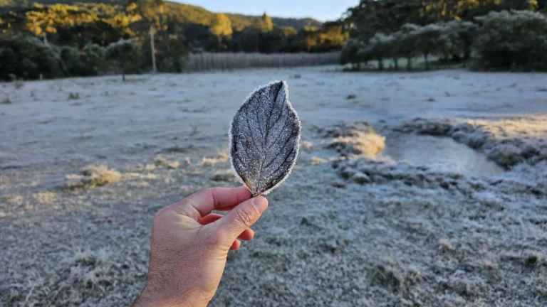 Rio congelado: Bom Jardim da Serra (SC) registra sensação térmica de -10°C