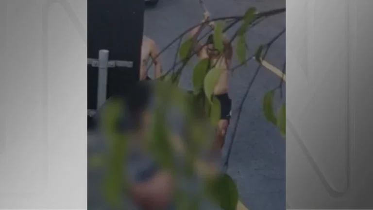 Torcedor do Corinthians é baleado por palmeirense durante briga; vídeo
