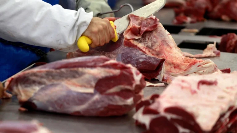 Tarifaço: Exportadores de carne do Brasil estimam perdas de US$ 1 bilhão