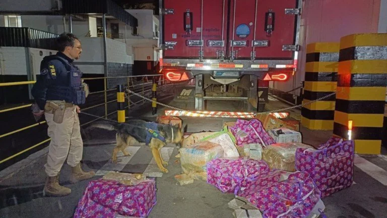 Homem é preso após transportar 400 kg de maconha junto a carga de carne